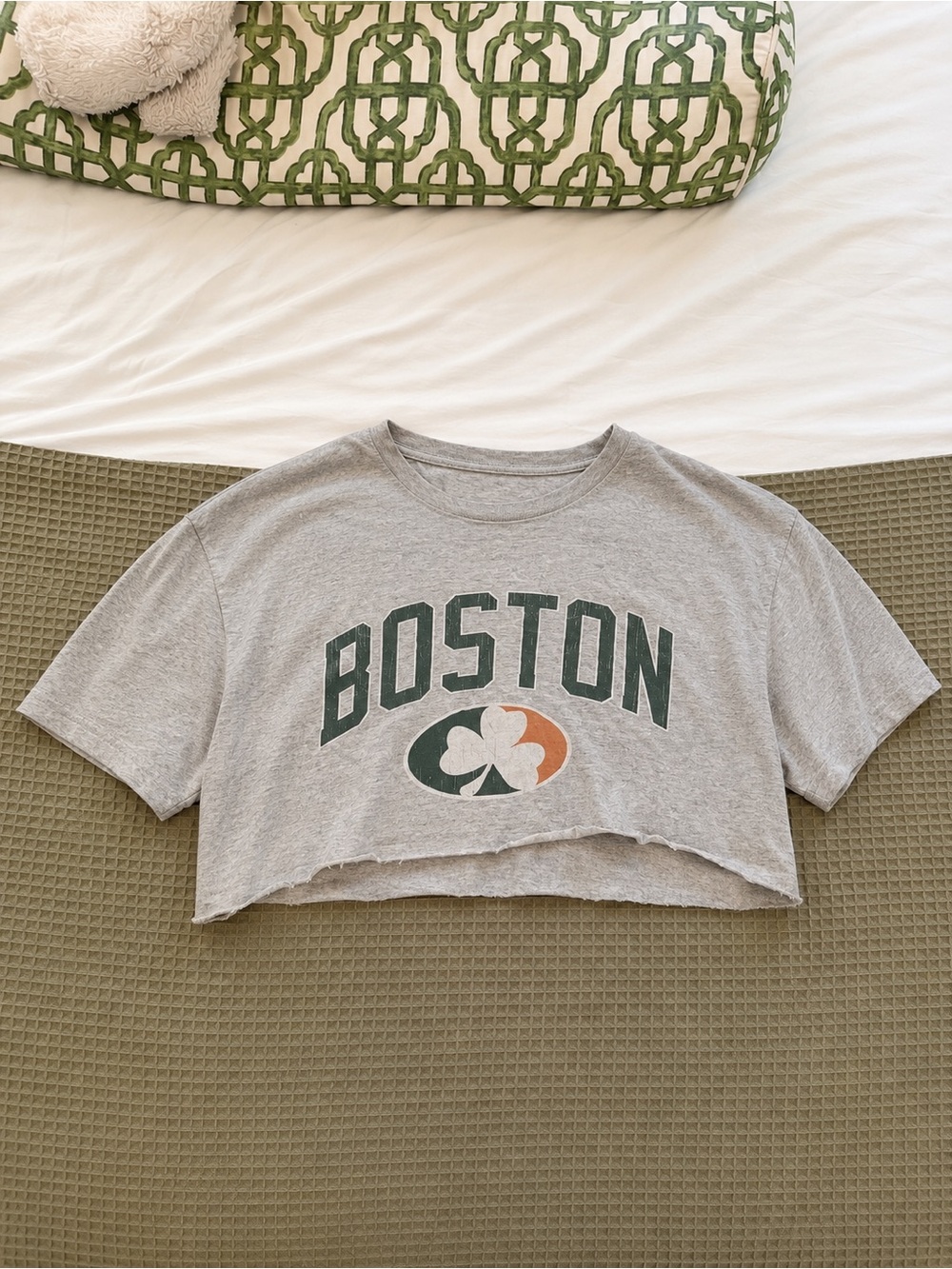 Boston cropped tee size 2X